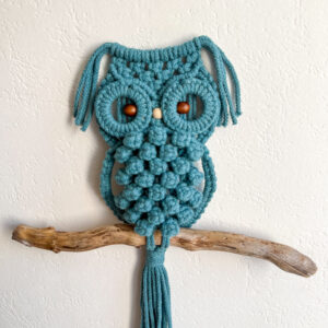 Hibou - Teal