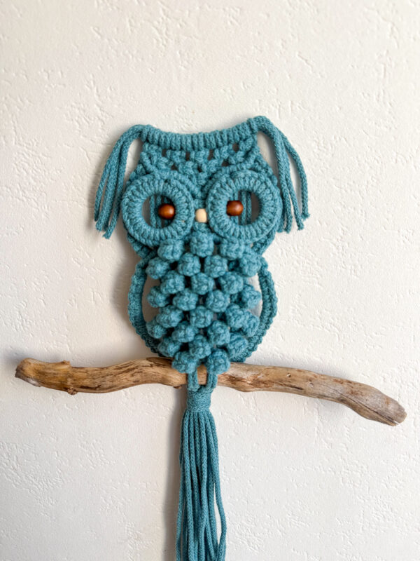 Hibou - Teal