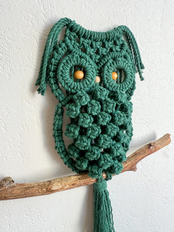 Hibou - Vert Sapin – Image 5