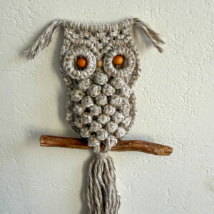 Petit Hibou - Frappé