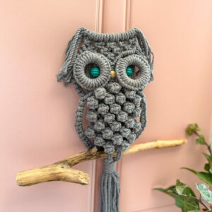 Hibou Torsadé - Acier